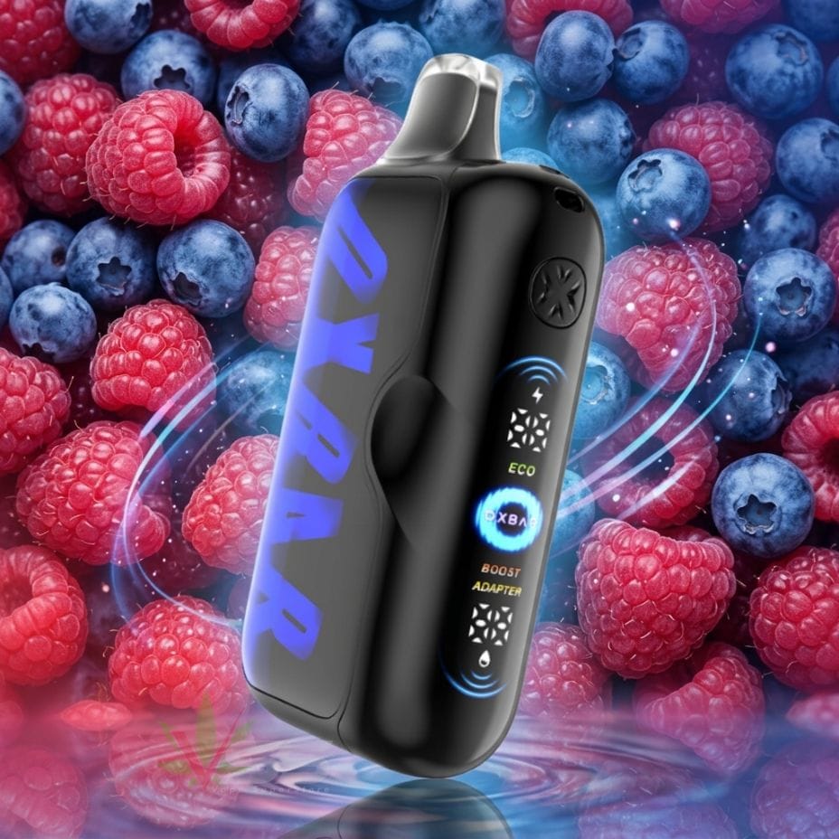 Oxbar G100K Disposable Vape - Blueberry Raspberry 30mL / 100000 Puffs / 20mg Vape Superstore  Saskatchewan Canada