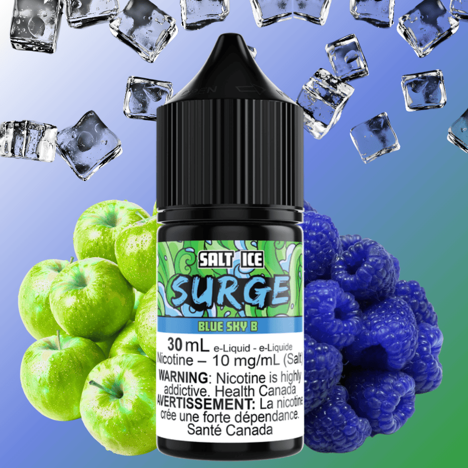 Surge E-Liquid-Blue Sky B Ice Salt 30ml 30mL / 12mg Vape Superstore  Saskatchewan Canada