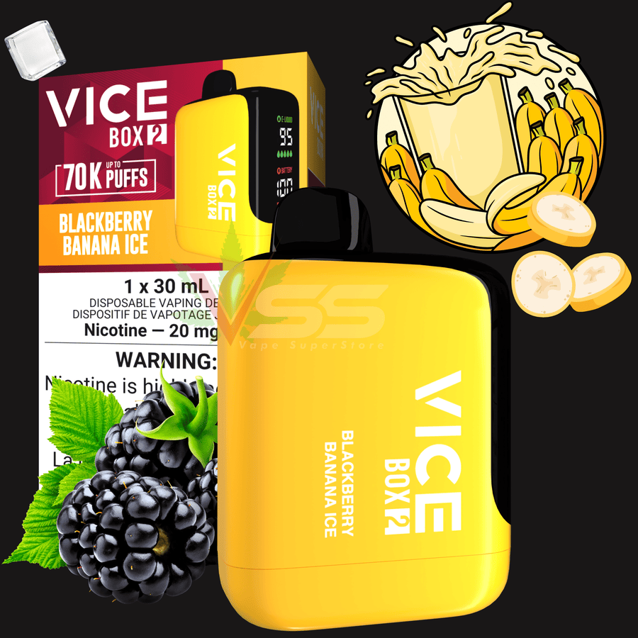 Vice Box 2 Disposable Vape-Blackberry Banana Ice Vapexcape Vape and Bong Shop Regina Saskatchewan