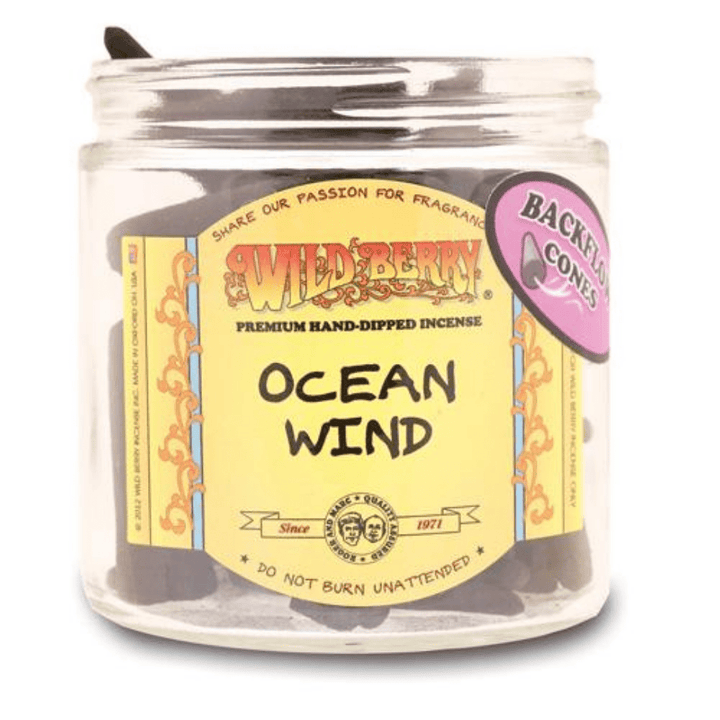 Wild Berry Backflow Incense Cones 1pc / Ocean Wind Vapexcape Vape and Bong Shop Regina Saskatchewan